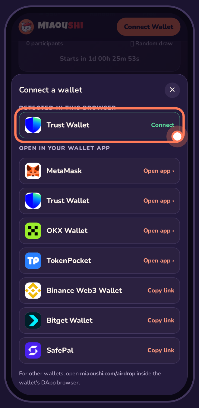 Wallet list with the detected wallet highlighted